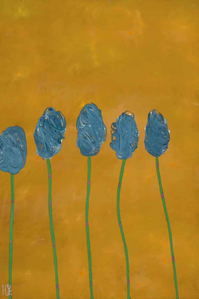 Joynson, Helen: Colours of Oz