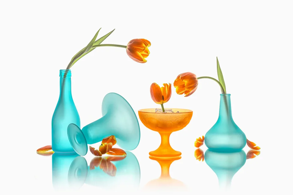 Jacobs, Lydia: Orangefarbene Tulpen sammeln sich