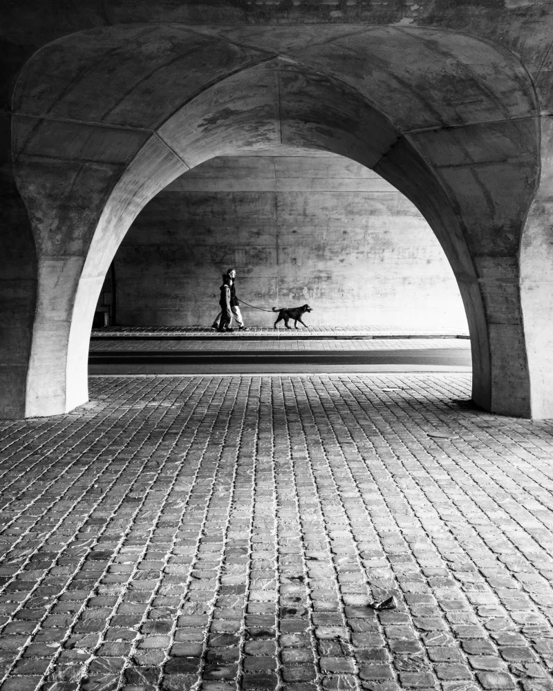 Steenhoudt, Sofie: Lasciare uscire il cane