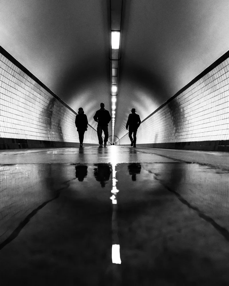 Steenhoudt, Sofie: Passeggiata nella tana del topo...