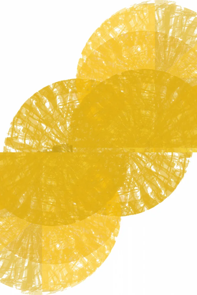 C, Project: Fans du Cercle Jaune 1