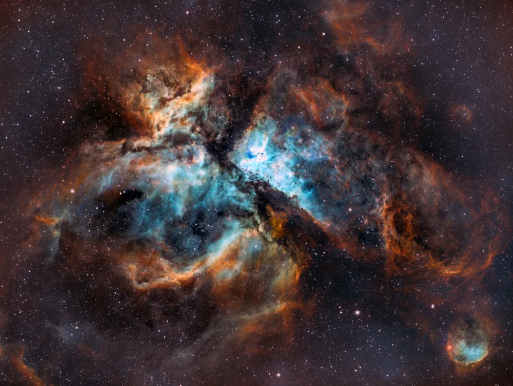 TaranSohal: Vivero de estrellas