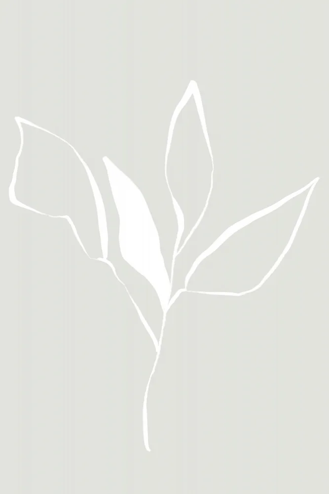 uplusmestudio: Fleur douce