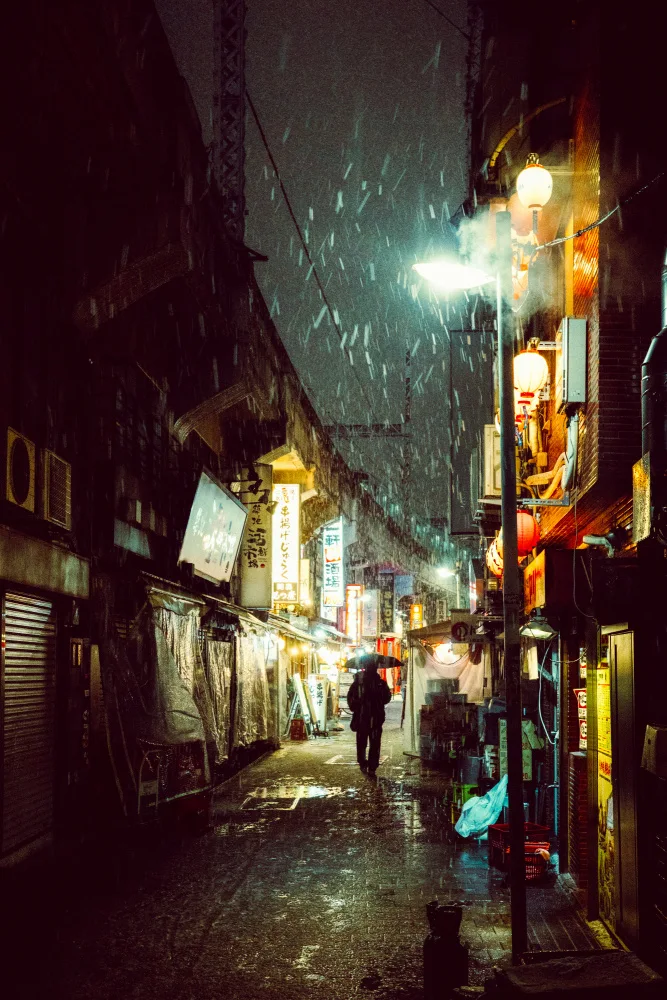 Hasegawa, Takashi: In einer verschneiten Nacht