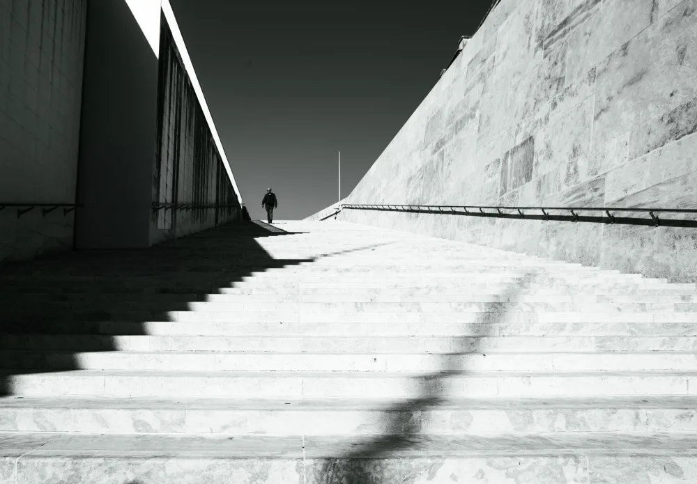 Tudor, Florina: Treppe zum Licht