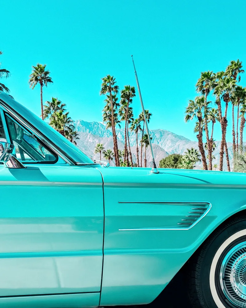 Windeknecht, Tom: Blaugrüner Donnervogel in Palm Springs