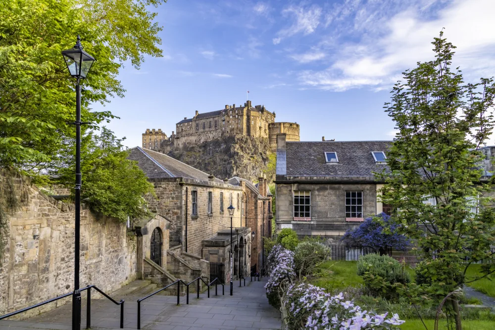 Viola, Melanie: Das Vennel in Edinburgh