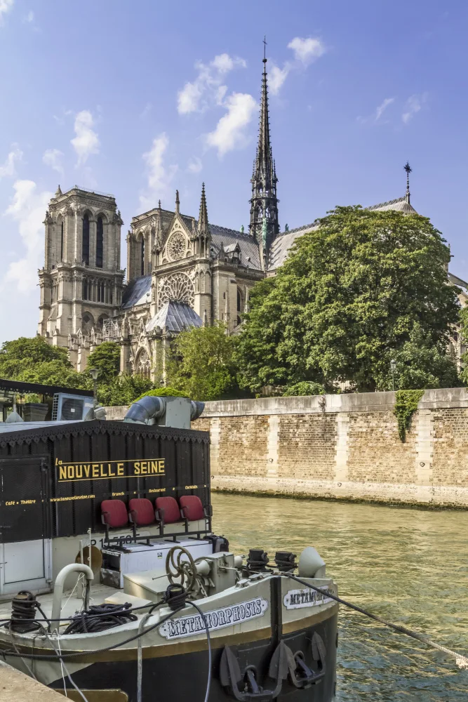Viola, Melanie: Pariser Kathedrale Notre-Dame
