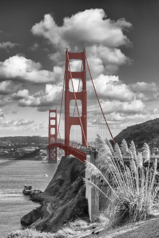 Viola, Melanie: SAN FRANCISCO Golden Gate Bridge