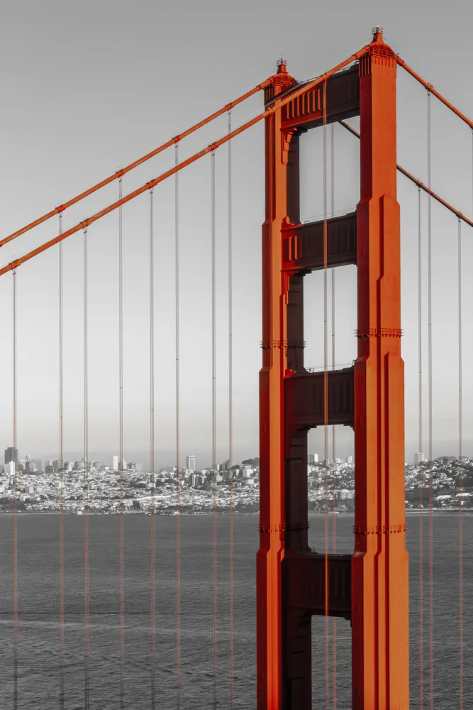 Viola, Melanie: Golden Gate Bridge im Detail
