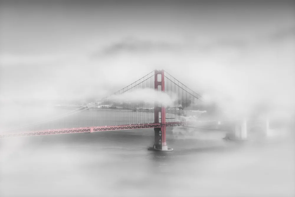 Viola, Melanie: Neblige Golden Gate Bridge