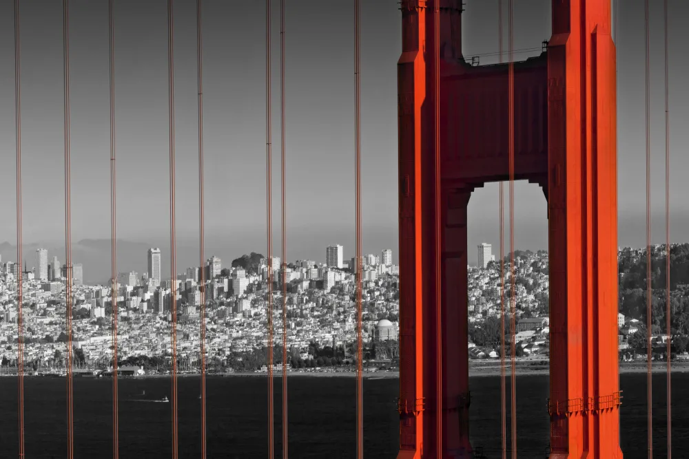 Viola, Melanie: Golden Gate Bridge im Detail