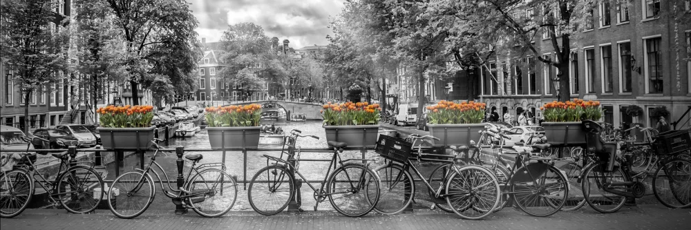 Viola, Melanie: Panoramablick auf den AMSTERDAM Gentlemen's Canal