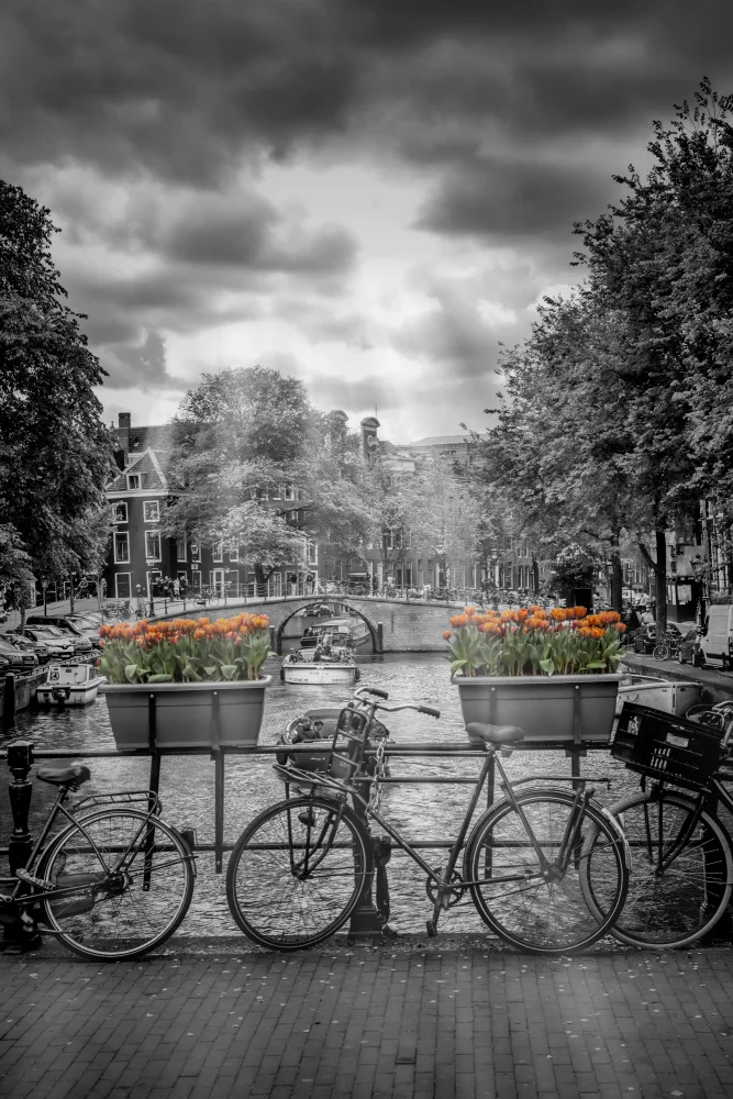 Viola, Melanie: Panoráma města Amsterdamu