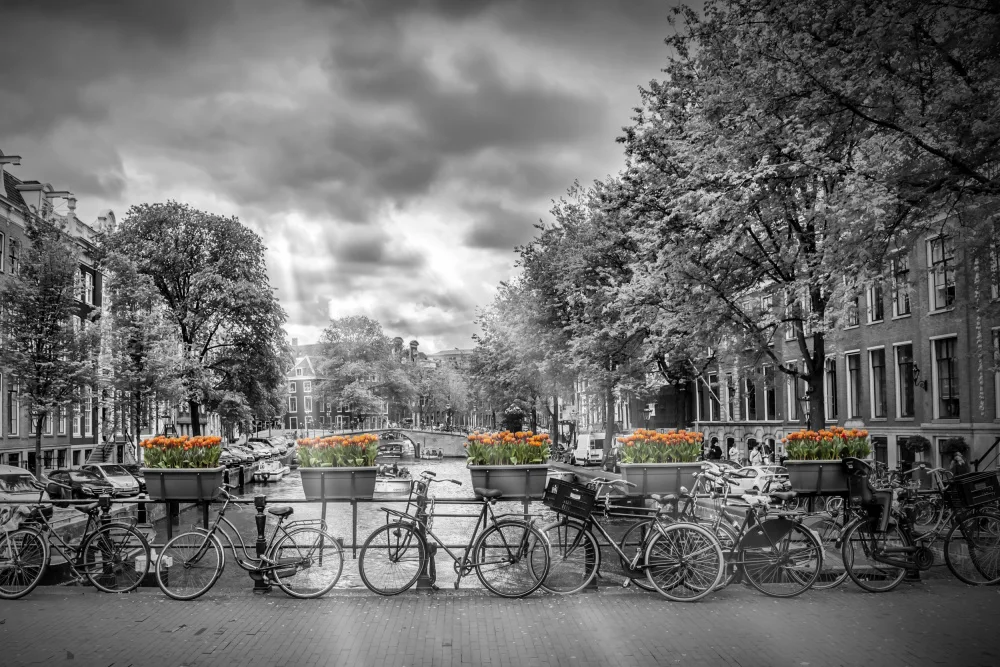 Viola, Melanie: Typický Amsterdam