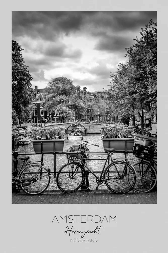 Viola, Melanie: V centru pozornosti: AMSTERDAM Herengracht