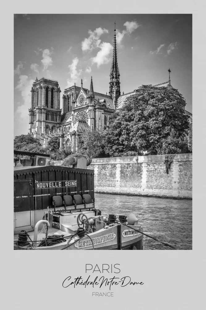 Viola, Melanie: Im Fokus: Pariser Kathedrale Notre-Dame