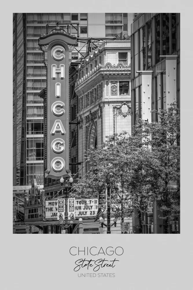Viola, Melanie: Im Fokus: CHICAGO State Street