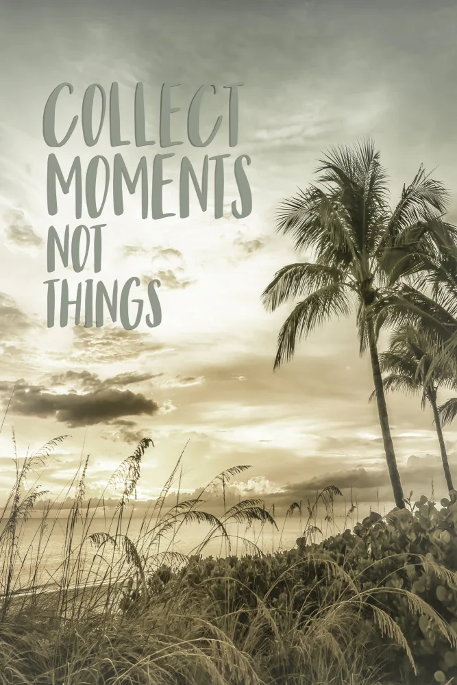 Viola, Melanie: Colleziona momenti,non cose | Tramonto