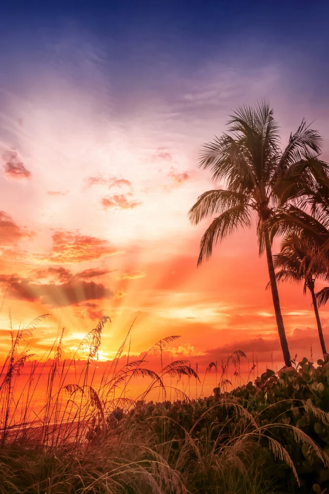 Viola, Melanie: BONITA BEACH Malerischer Sonnenuntergang