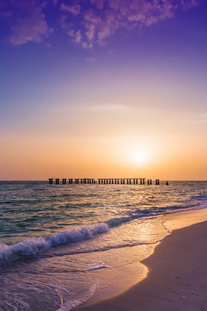 Viola, Melanie: Sonnenuntergang auf der Insel Gasparilla