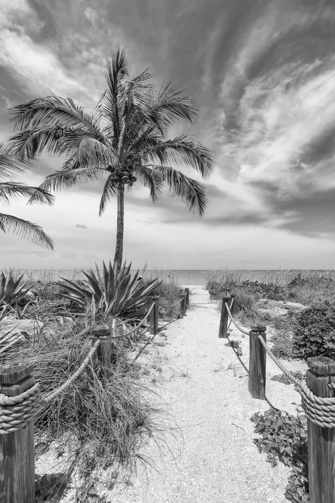 Viola, Melanie: Weg zum Strand - Monochrom
