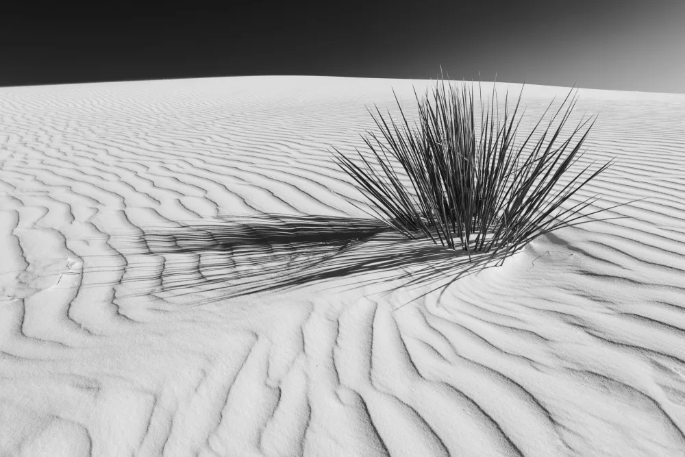 Viola, Melanie: WHITE SANDS Idylická scenérie | Černobílý