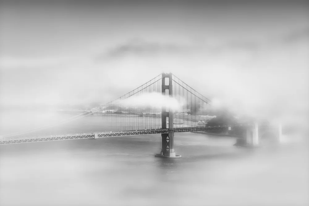 Viola, Melanie: Neblige Golden Gate Bridge | einfarbig