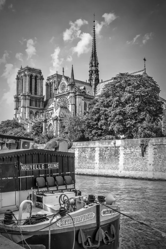 Viola, Melanie: Kathedrale Notre-Dame und Ufer der Seine