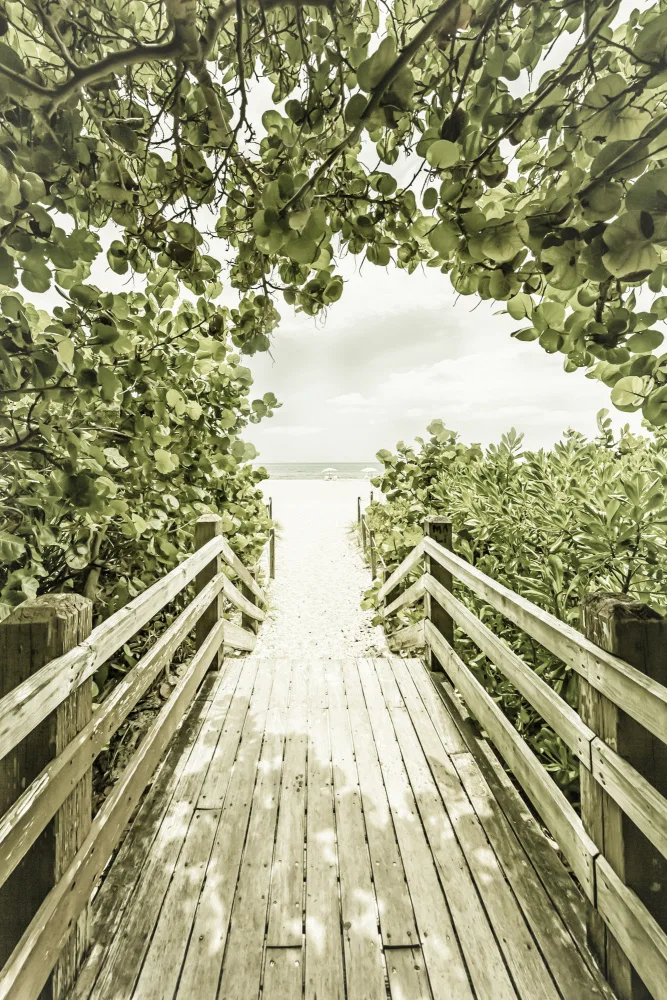 Viola, Melanie: Brücke nach Miami Beach
