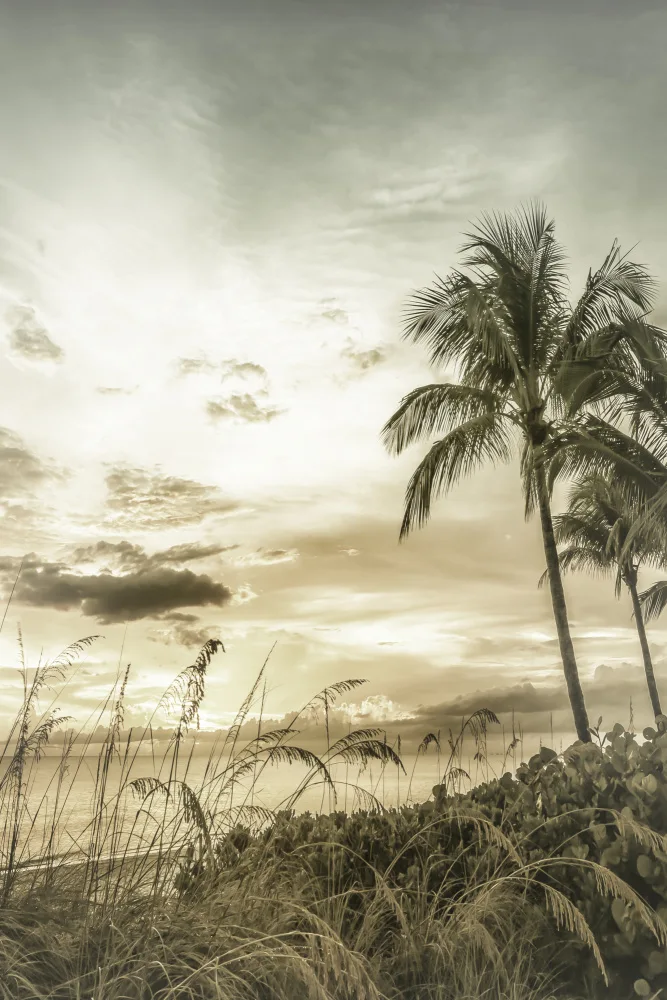 Viola, Melanie: BONITA BEACH Vintage Sonnenuntergang