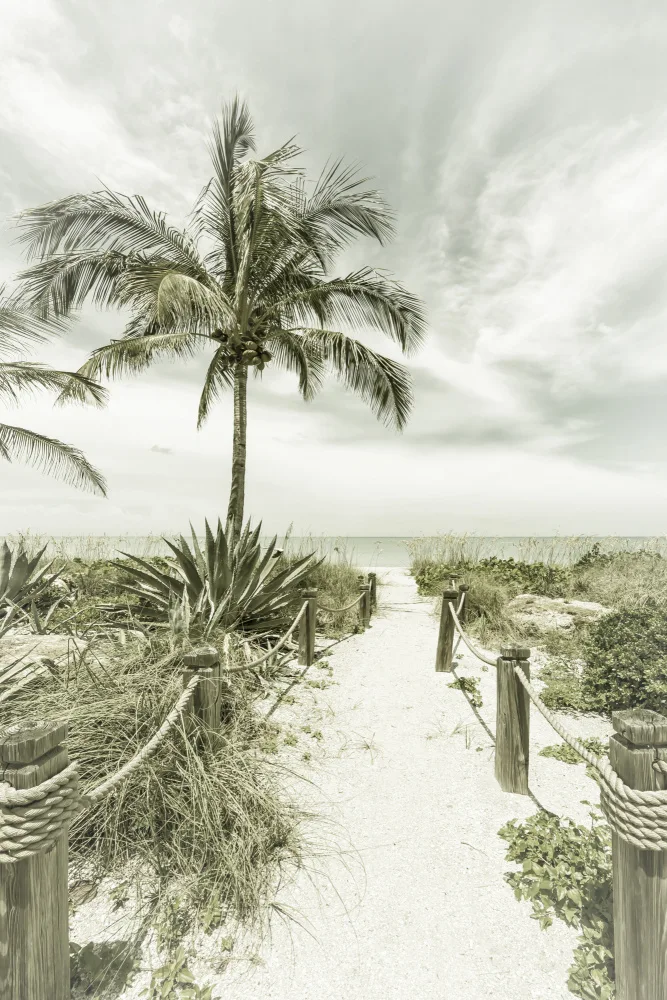 Viola, Melanie: Vintage-Weg zum Strand