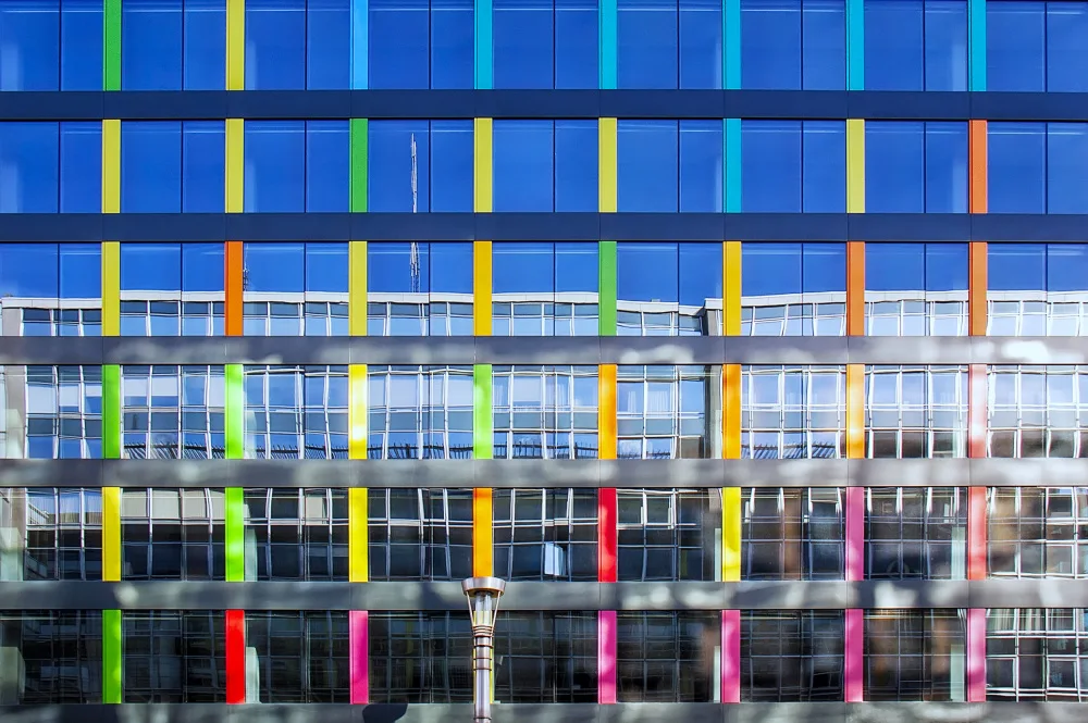 Vicedomini, Angéla: Fronte Arcobaleno