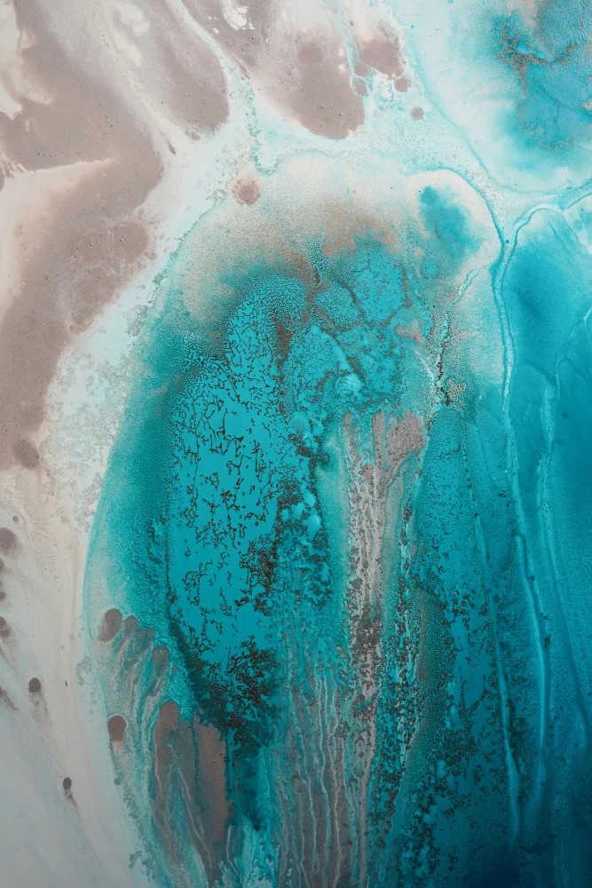 de, Meikle Petra: Flux de la mer de Corail1