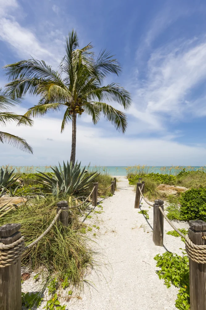 Viola, Melanie: Weg zum Strand