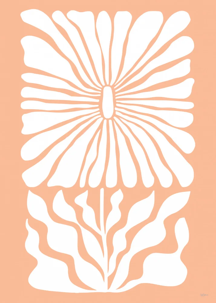 Skellern, Sue: Retro Flower Peach Fuzz