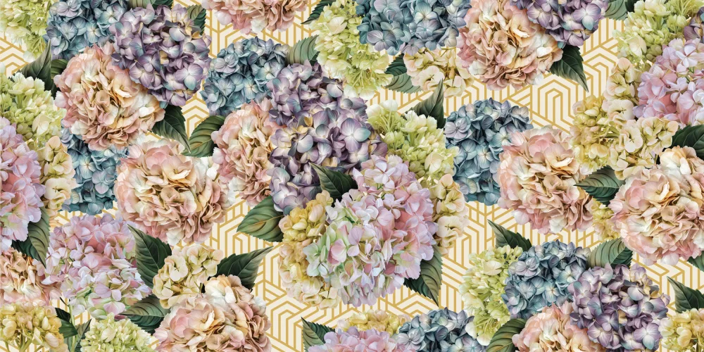 Skellern, Sue: Hydrangeas_Gold Cream