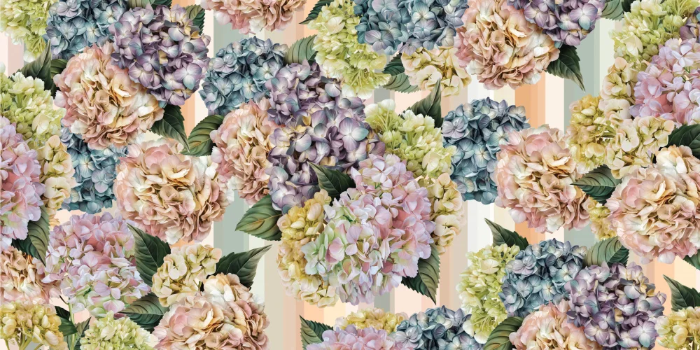 Skellern, Sue: Hydrangeas_Stripes