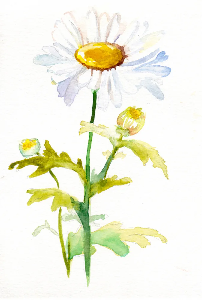 Lindstrom, Christine: Marguerite avril