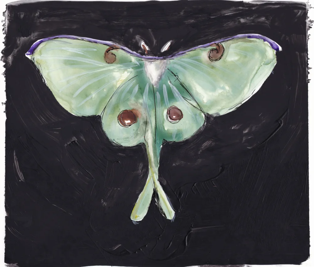 Lindstrom, Christine: Papillon de lune