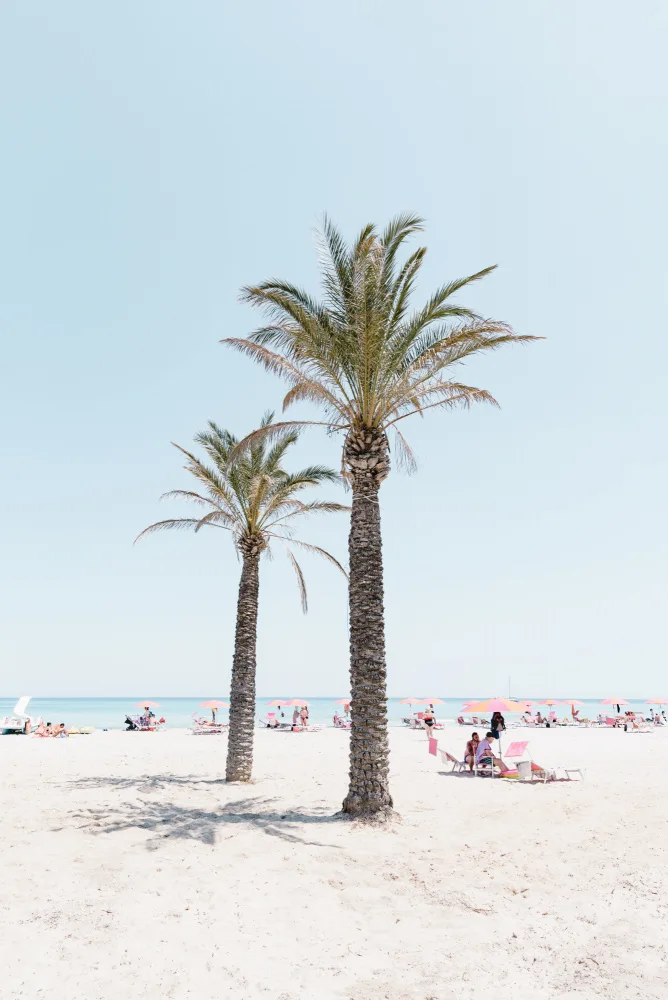 Photolovers: Palma sulla spiaggia