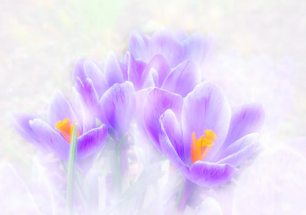Günther, Hans: Frühling