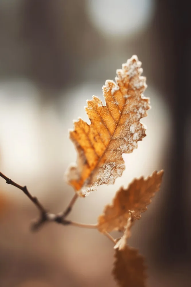 Treechild: Impressione autunnaleno2