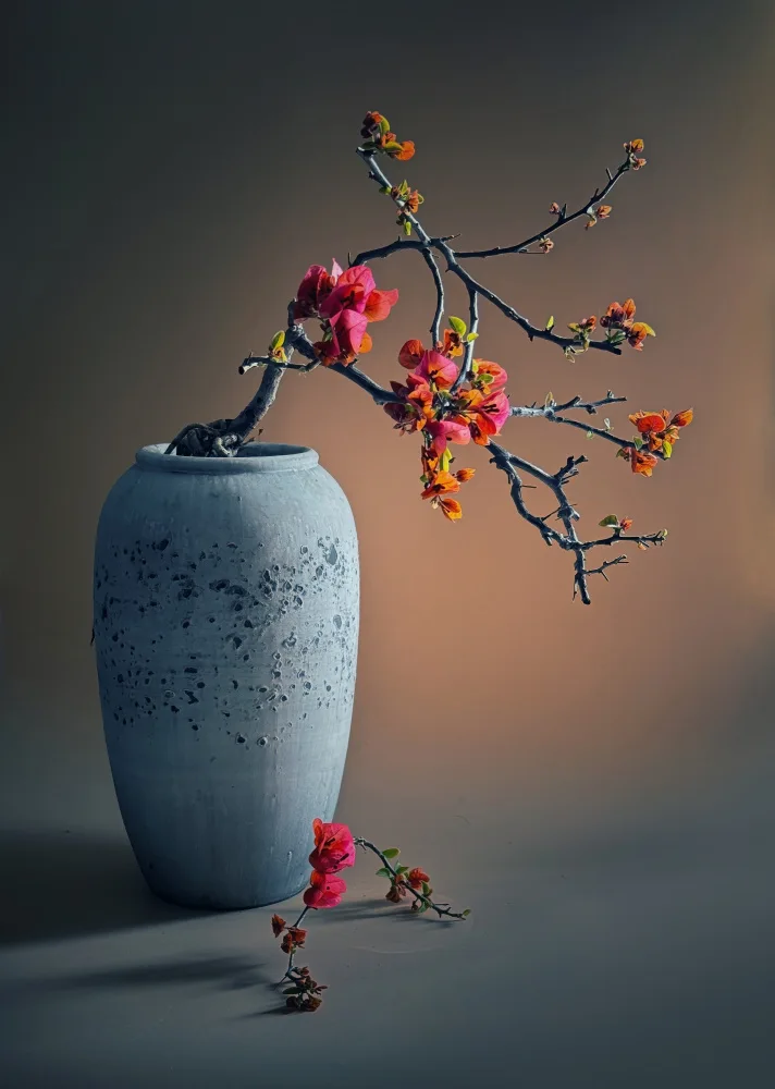 Tseng, Judy: Bouganville
