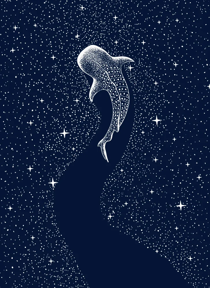 ÇAKIR, Alirıza: Mangeur d'étoiles