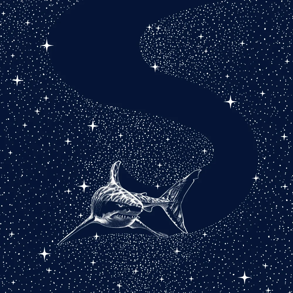 ÇAKIR, Alirıza: Requin étoilé