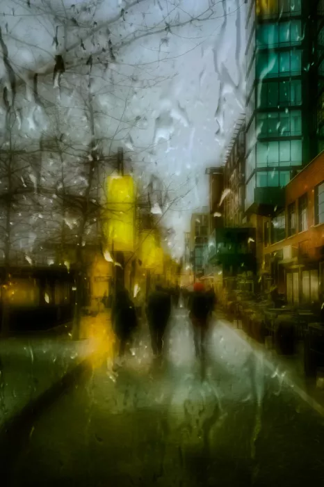 Zhao, Yan: Calle después de la tormenta