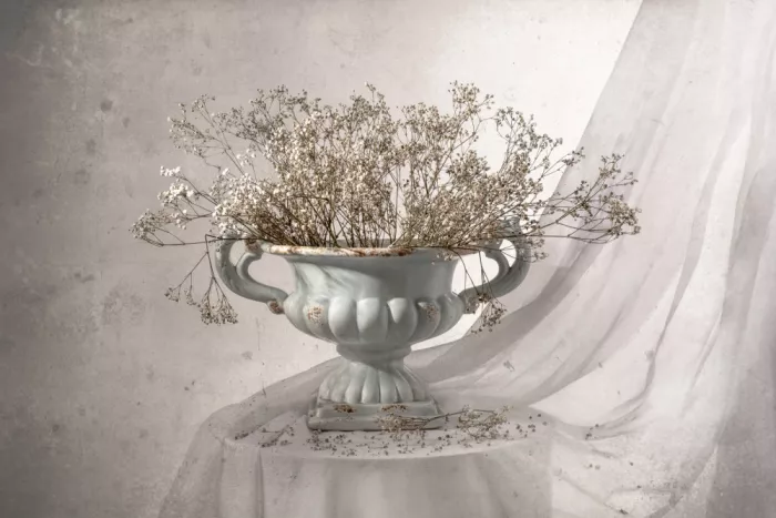 Perfoncio, Margareth: Fiore appassito