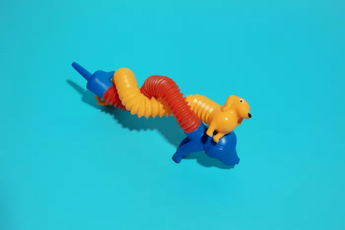 Ramiro, Julia: Chiens jouets colorés