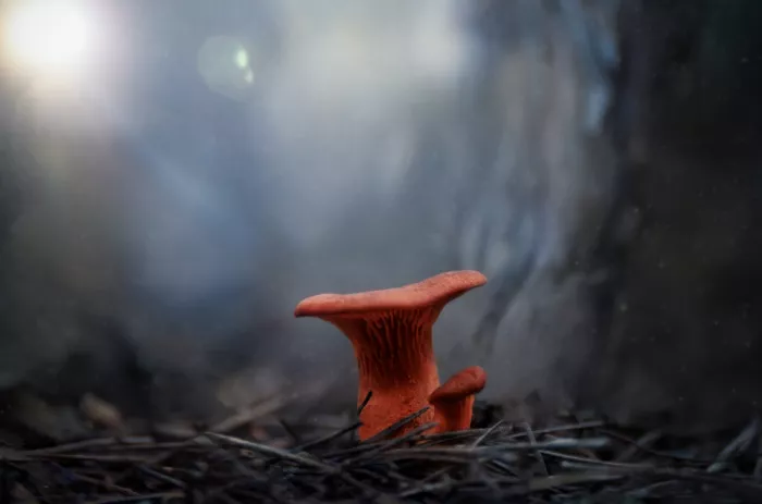 Joanaduenas: Un universo ai miei piedi 7R44627